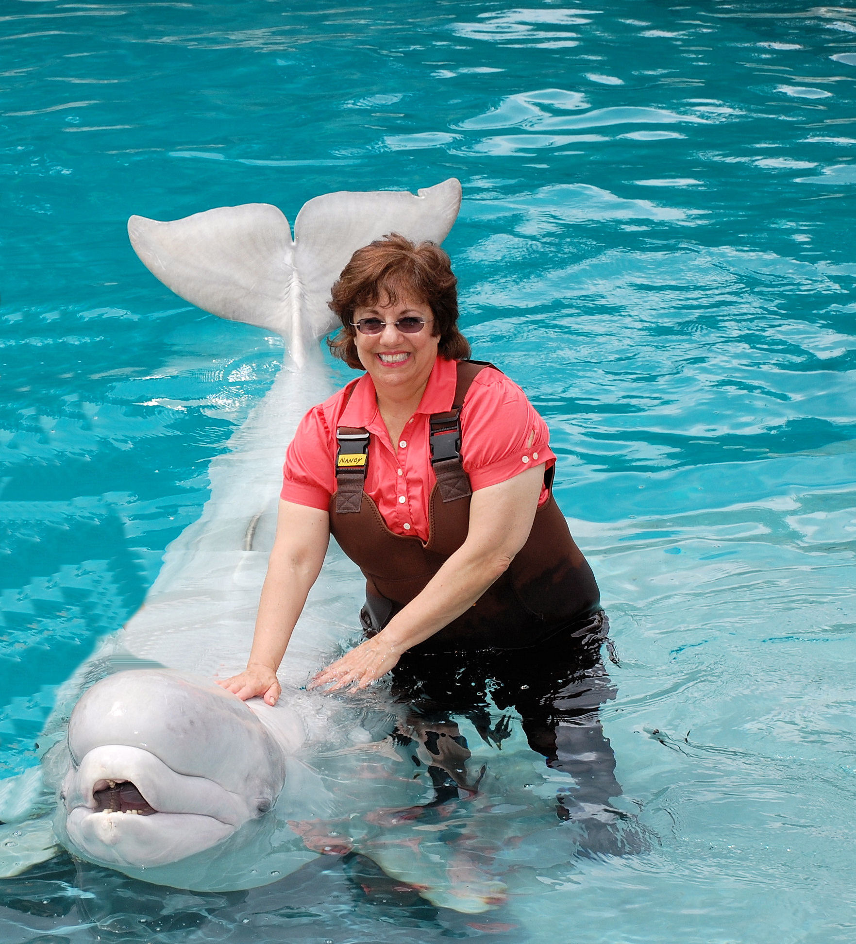 In the Water with a Beluga Whale