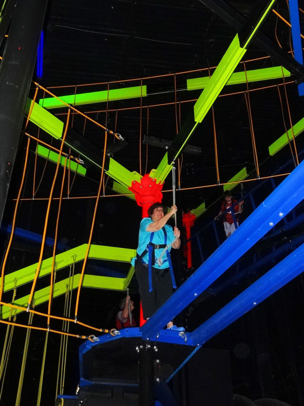 Ropes Course Hung from the Ceiling, Orlando, FL 2013